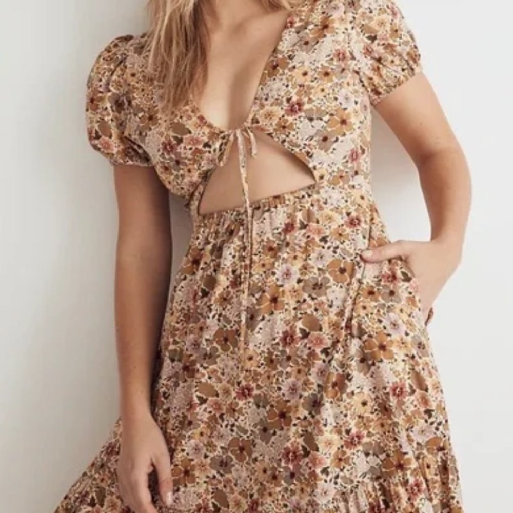 Madewell Puff Sleeve Dress